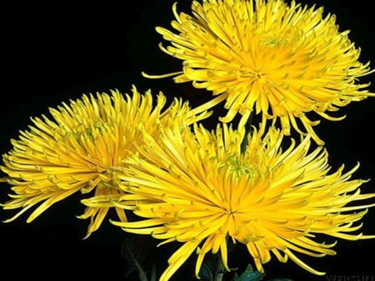 Beautiful Colors In The Nature