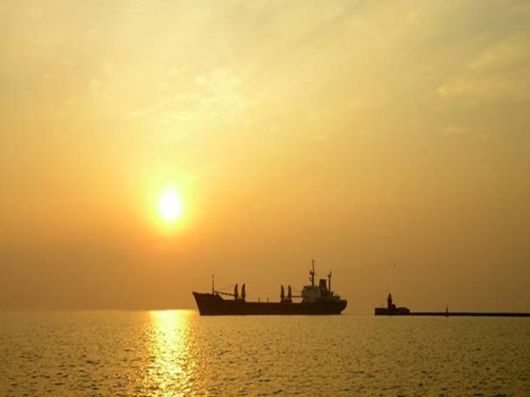 Beautiful Colors In The Nature