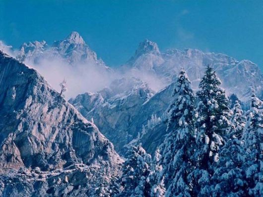 Beautiful Colors In The Nature