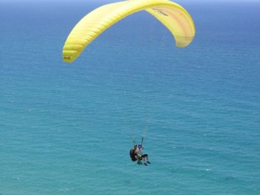 Beautiful Colors In The Nature