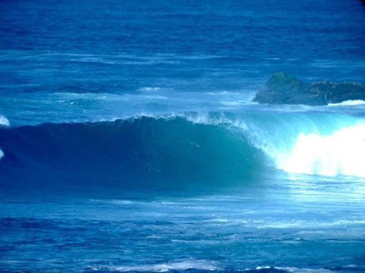 Beautiful Colors In The Nature