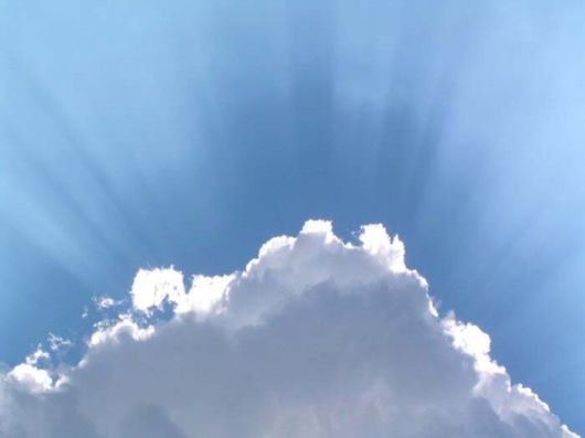 Beautiful Colors In The Nature