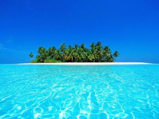 Beautiful Colors In The Nature