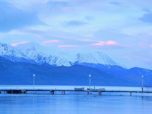 Beautiful Colors In The Nature