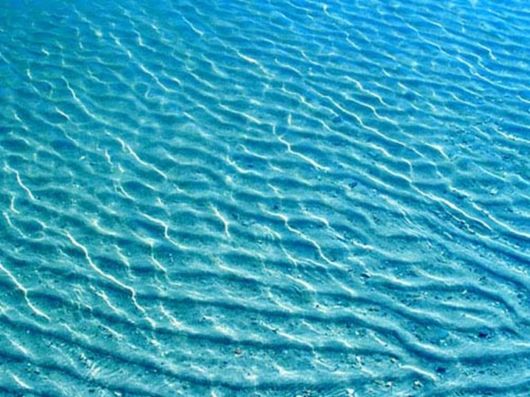 Beautiful Colors In The Nature