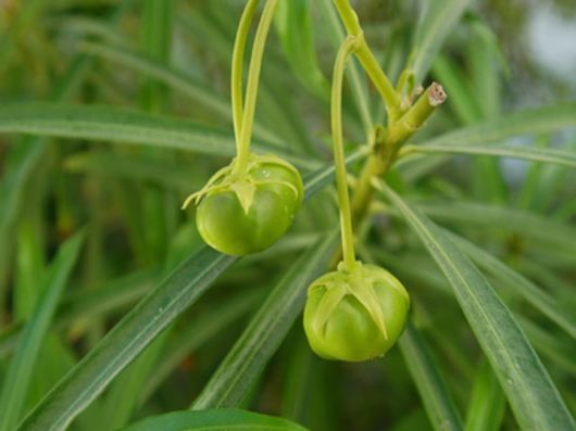 Beautiful Colors In The Nature