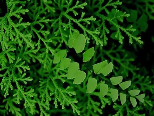 Beautiful Colors In The Nature