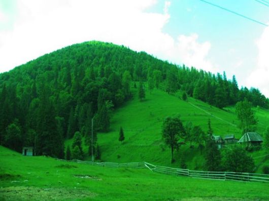 Beautiful Colors In The Nature