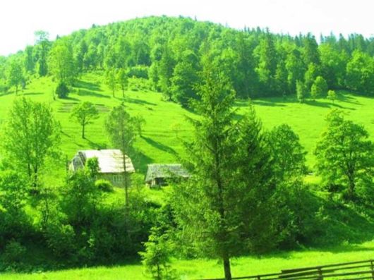 Beautiful Colors In The Nature