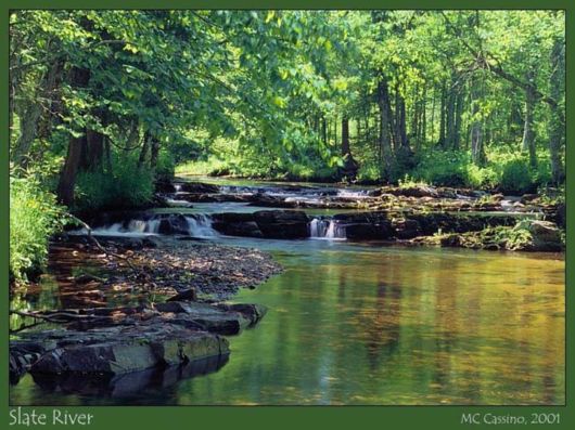 Beautiful Colors In The Nature