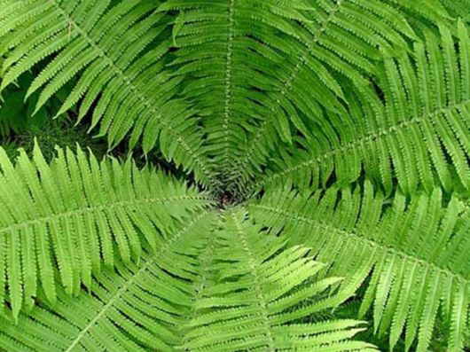 Beautiful Colors In The Nature