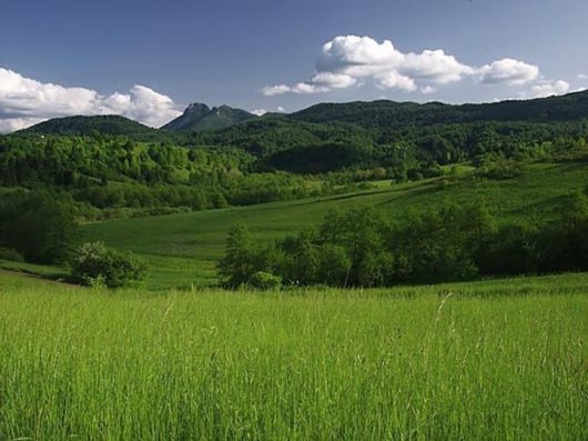 Beautiful Colors In The Nature