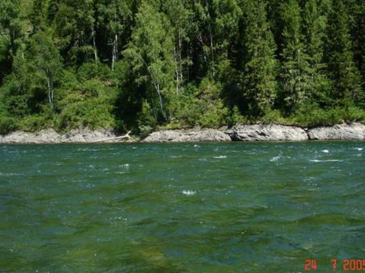 Beautiful Colors In The Nature