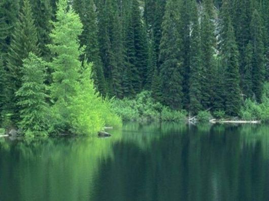 Beautiful Colors In The Nature