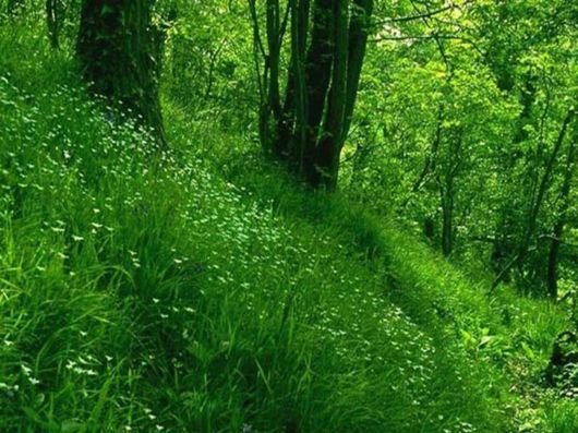 Beautiful Colors In The Nature