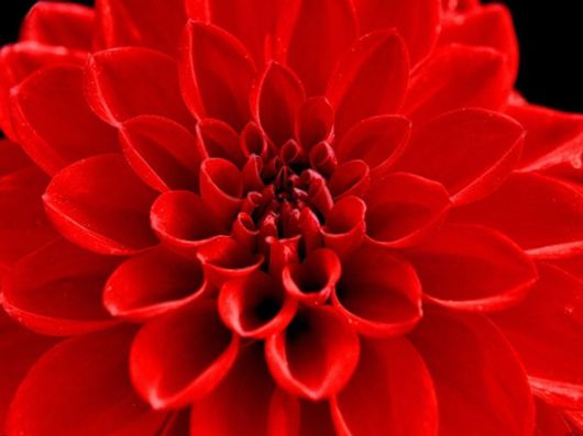 Beautiful Colors In The Nature