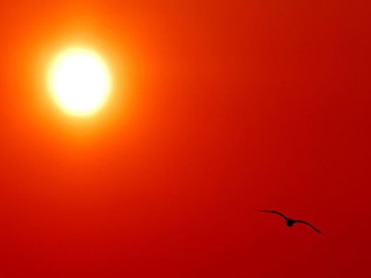 Beautiful Colors In The Nature