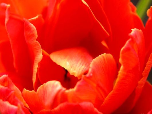 Beautiful Colors In The Nature