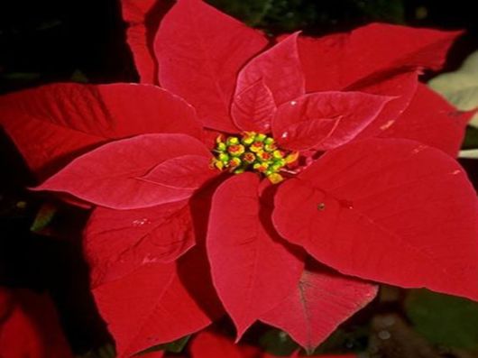 Beautiful Colors In The Nature