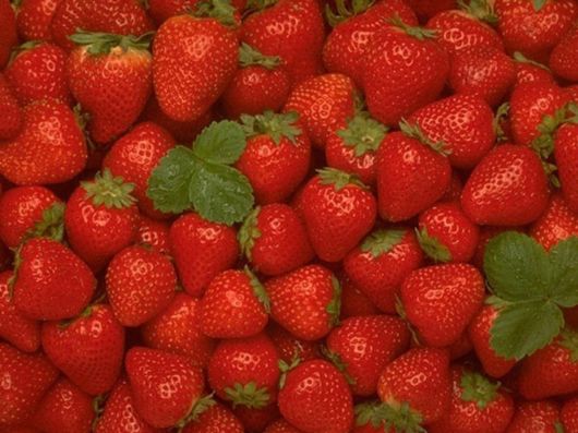 Beautiful Colors In The Nature