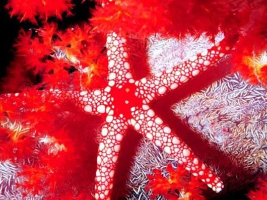 Beautiful Colors In The Nature