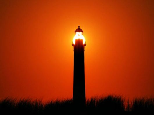 Beautiful Colors In The Nature