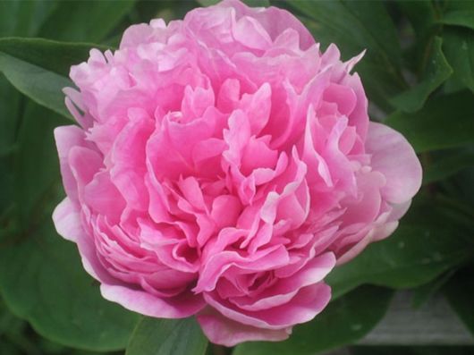 Beautiful Colors In The Nature