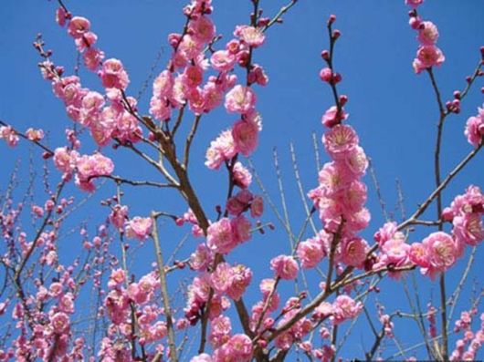 Beautiful Colors In The Nature