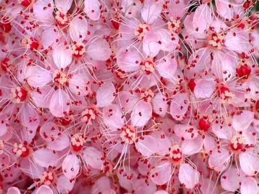 Beautiful Colors In The Nature