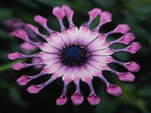 Beautiful Colors In The Nature