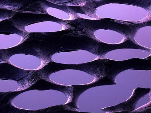 Beautiful Colors In The Nature