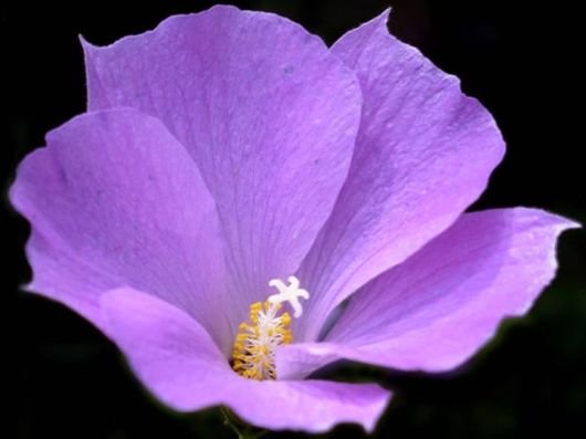 Beautiful Colors In The Nature