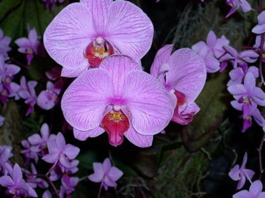 Beautiful Colors In The Nature