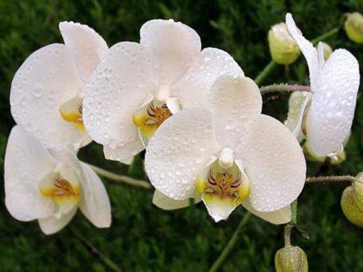 Beautiful Colors In The Nature