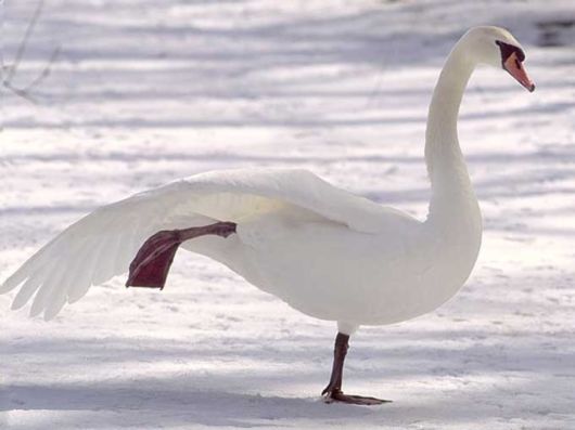 Beautiful Colors In The Nature