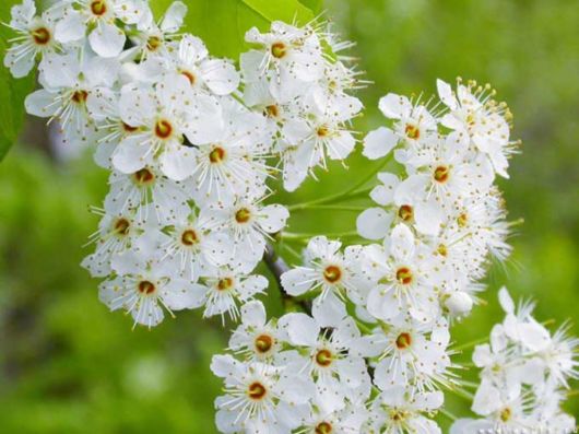 Beautiful Colors In The Nature