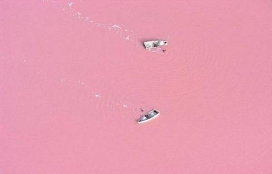 Lake Retba - The Pink Lake
