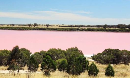 Lake Retba - The Pink Lake