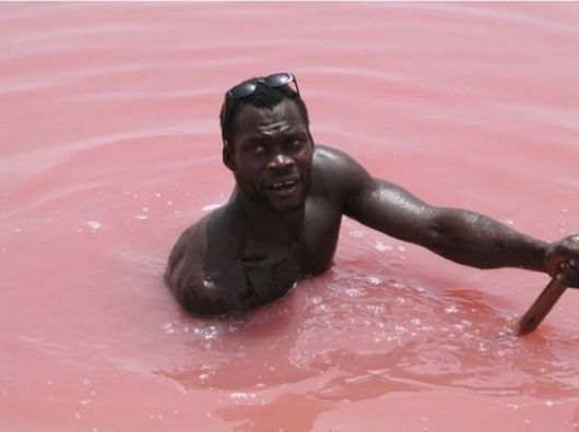 Lake Retba - The Pink Lake