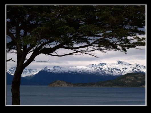 Snow Hill Island Safari, Antarctica