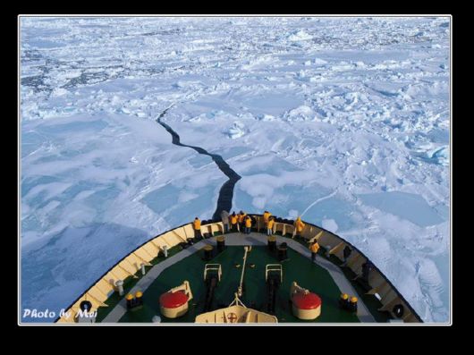 Snow Hill Island Safari, Antarctica