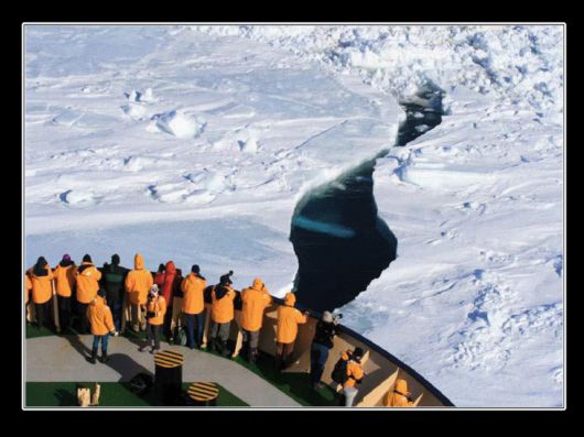 Snow Hill Island Safari, Antarctica