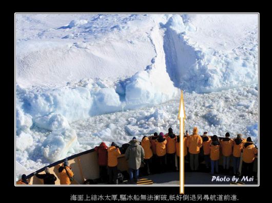 Snow Hill Island Safari, Antarctica