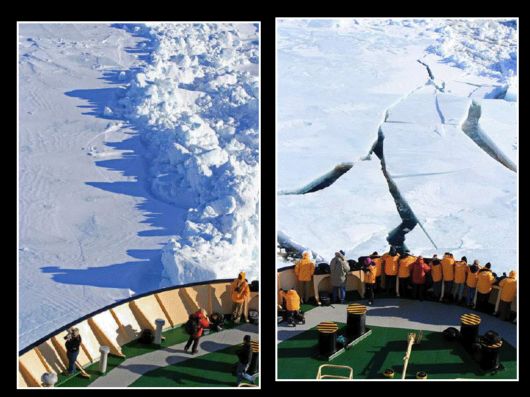 Snow Hill Island Safari, Antarctica