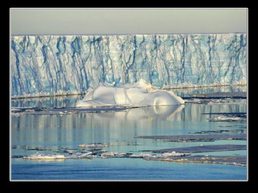Snow Hill Island Safari, Antarctica