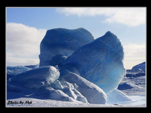 Snow Hill Island Safari, Antarctica
