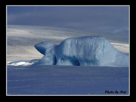 Snow Hill Island Safari, Antarctica
