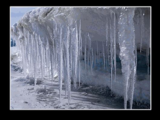 Snow Hill Island Safari, Antarctica