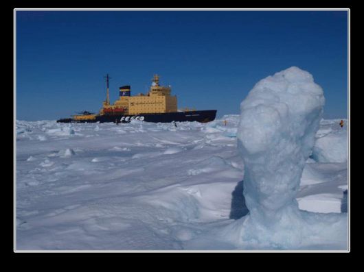 Snow Hill Island Safari, Antarctica
