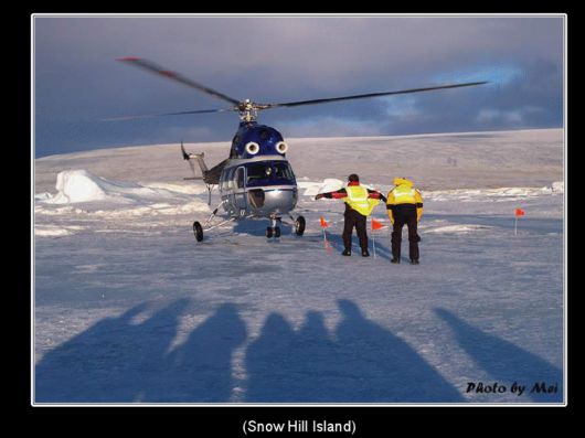 Snow Hill Island Safari, Antarctica